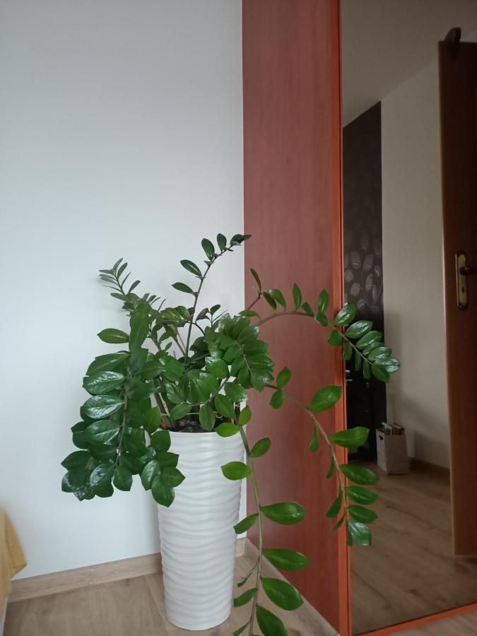 Pomaranczowa Apartment Szczecin Extérieur photo